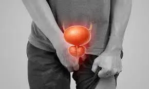 Prostate Max supplement buy